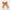 Sugar Cookie Alondra Hair Bow Clip
