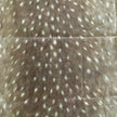 Deer Coin Pouch (Pre-Order)