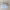 Small Blue French Floral Makeup Bag (Pre-Order)