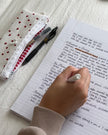 Flat Ladybug Pencil Pouch (Pre-Order)