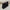 Dolly Toiletry Bag (Pre-Order)