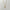 Gold Rose Necklace (PRE-ORDER)