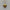Vintage I Love You Locket Necklace (PRE-ORDER)