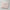 Blush Stripes Pouch (Pre-Order)