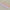 Flat Bow Pencil Pouch (Pre-Order)