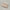 Sweet Latte Coin Pouch (Pre-Order)