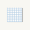 Gingham Sticky Notes in Baby Blue