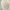Gold Micro Heart Necklace (PRE-ORDER)