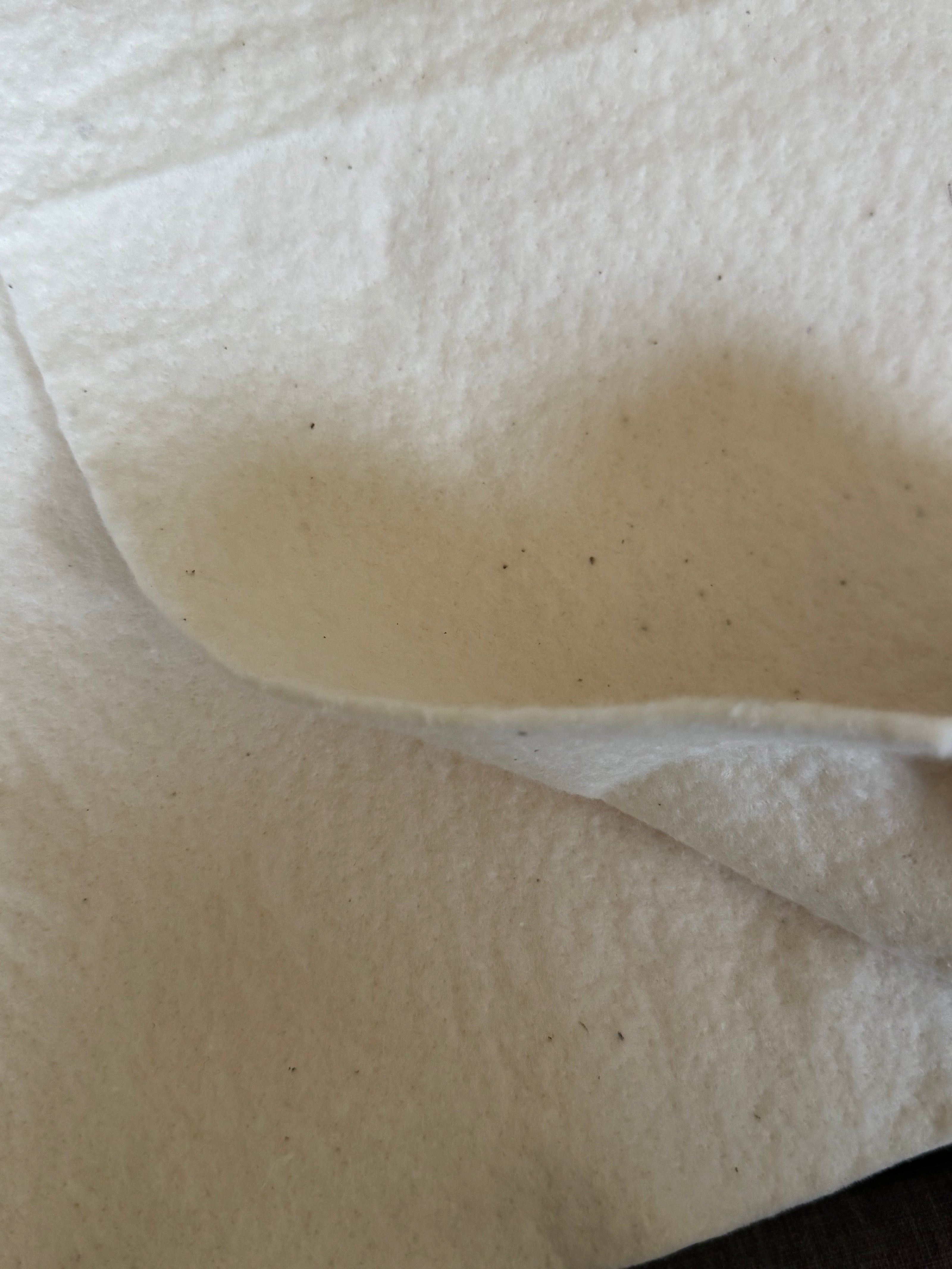 Natural Cotton Batting Remnant
