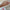 Small Blue French Floral Makeup Bag (Pre-Order)