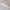 Blush Stripes Pouch (Pre-Order)